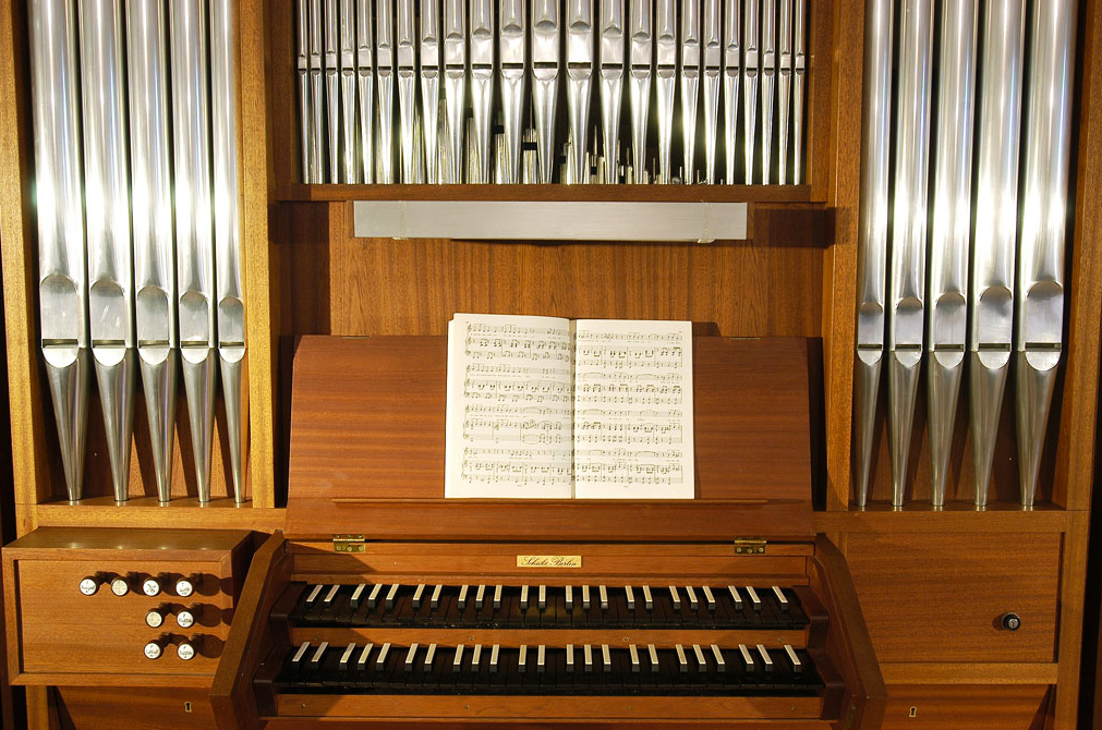 organ, 